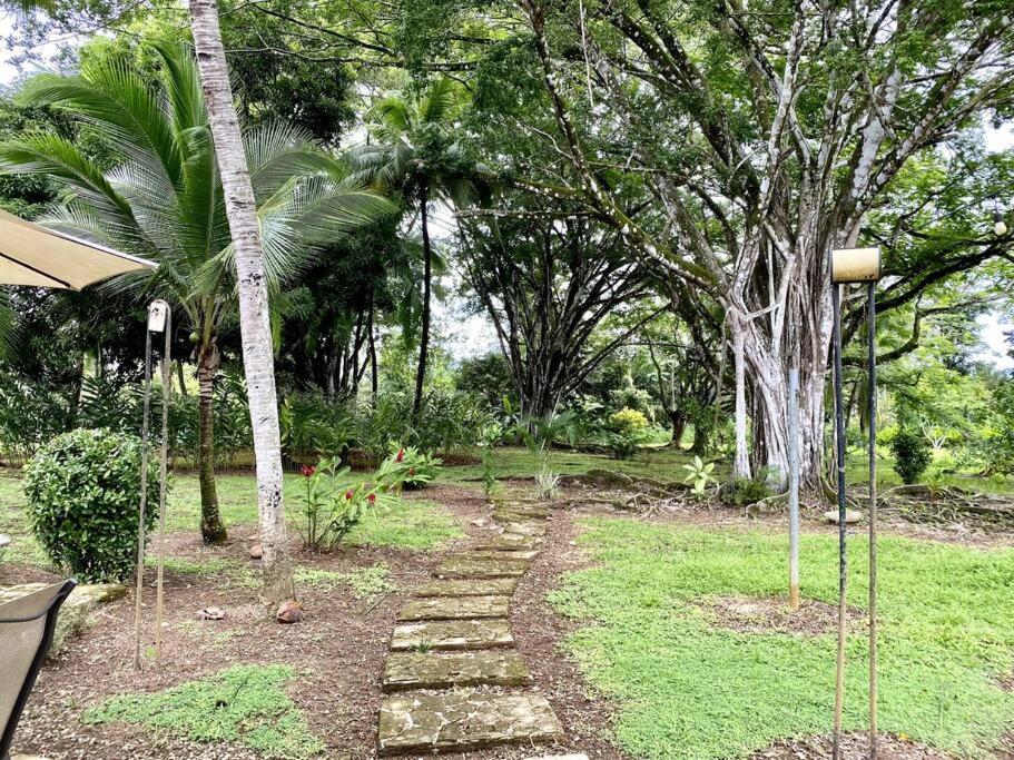 Laguna Eco Village #211 Pool Tenis Bbq Quepos Extérieur photo